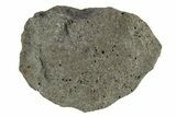 Chelyabinsk Meteorite ( g) - Witnessed Fall #263522-2